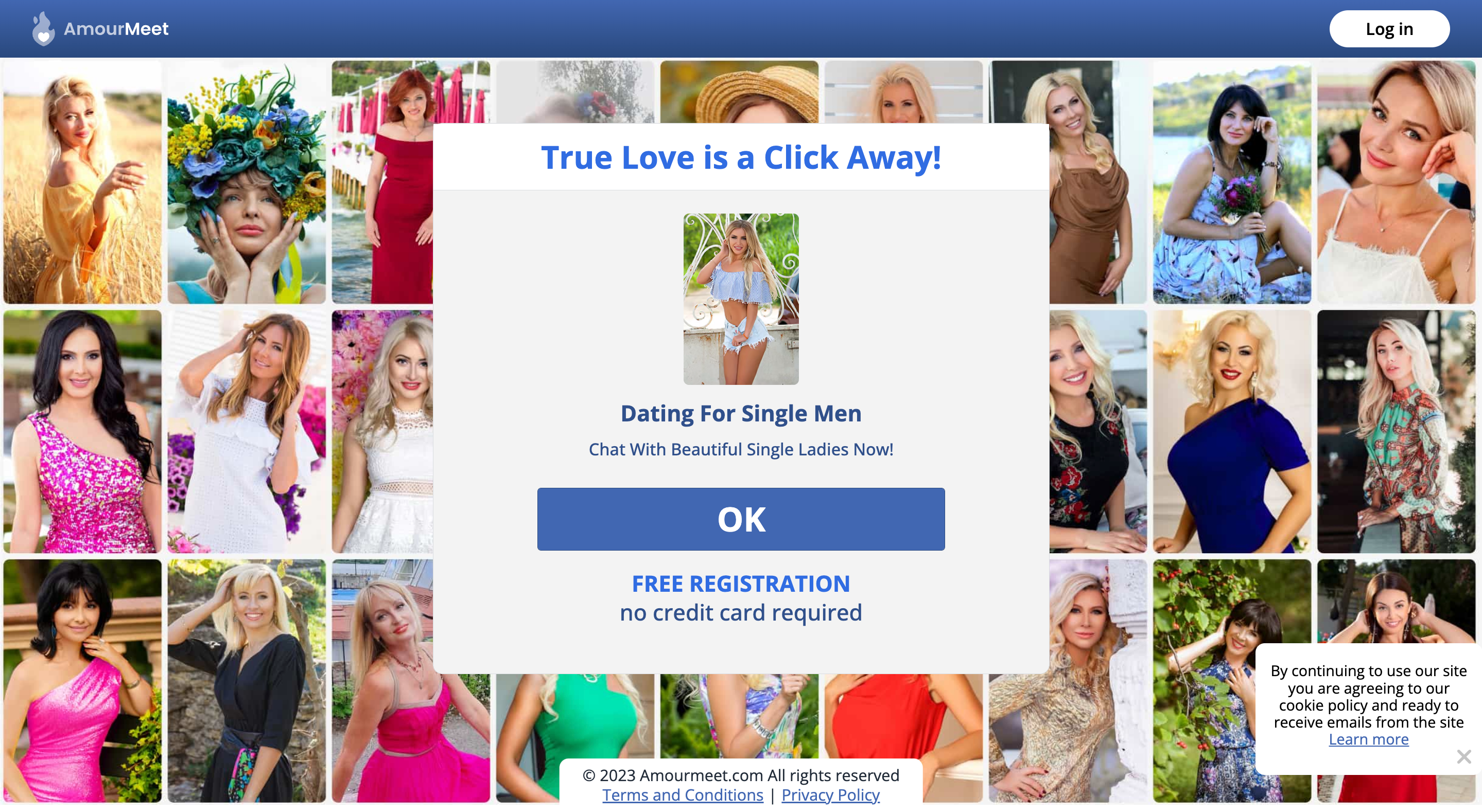 AmourMeet Review: Is It Worth Joining?