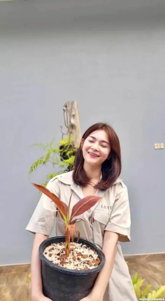 Natthy Profile image 6